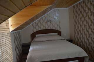 Мотели Villa Ana Rezina Стандартный двухместный номер с 1 кроватью-15